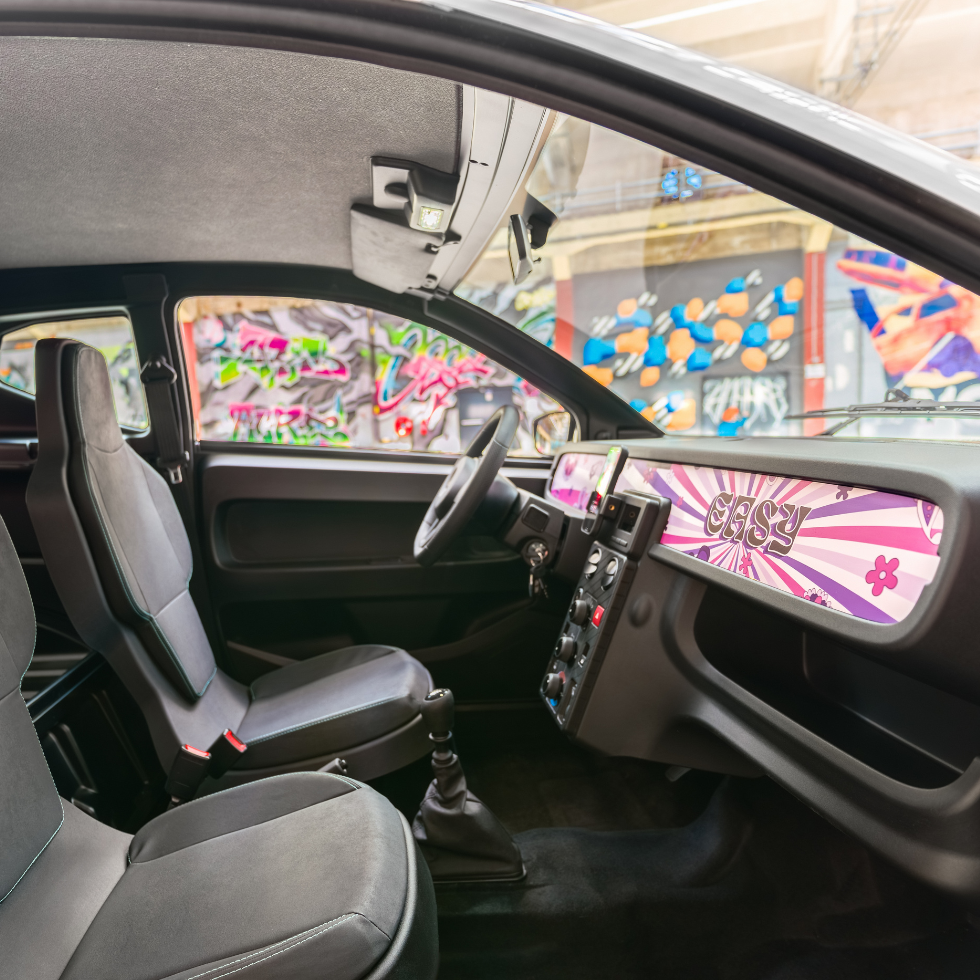 Aixam Easy Acces dashboard skins overzicht